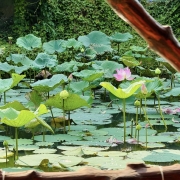 Homestay Long Khánh Quê Em