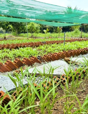 Rau Organic