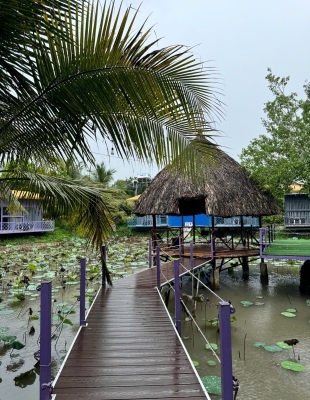 KHU VỰC CÂU CÁ