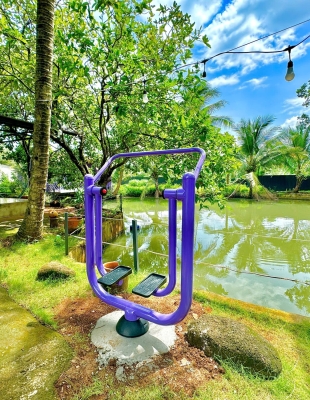 THỂ DỤC THỂ THAO